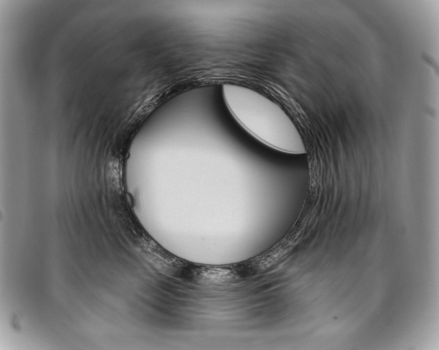 X0000096950669200802081231