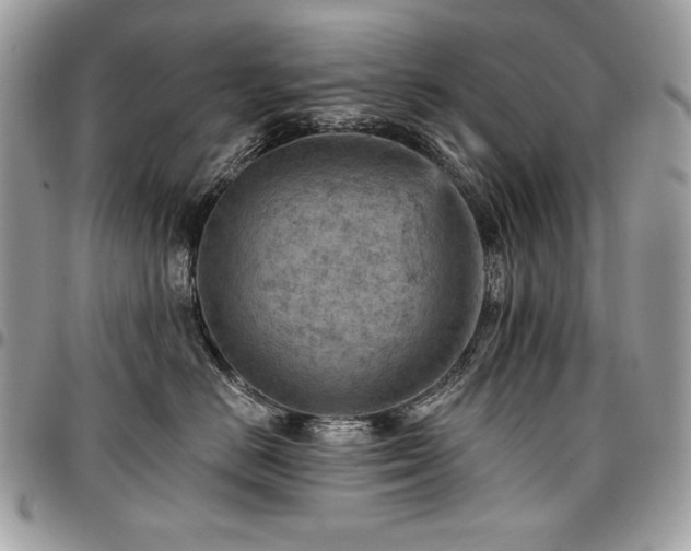 X0000096950670200802081231