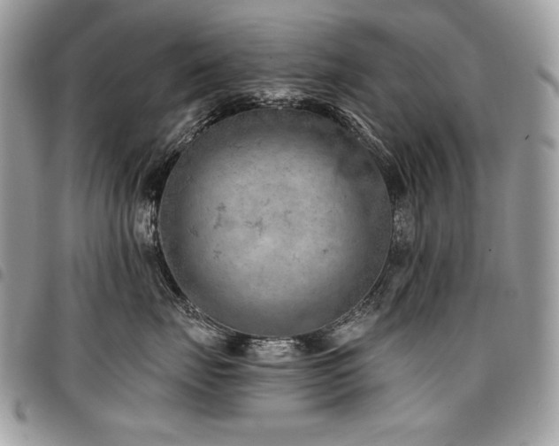 X0000096950671200802081231