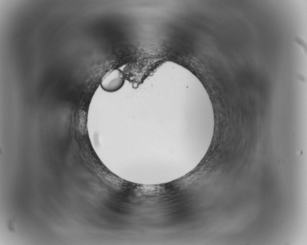 X0000096950672200802081231