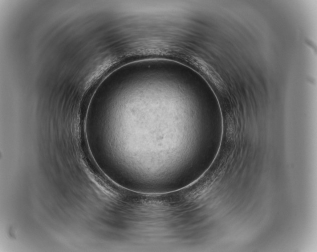 X0000096950677200802081230