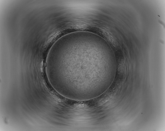 X0000096950689200802081230