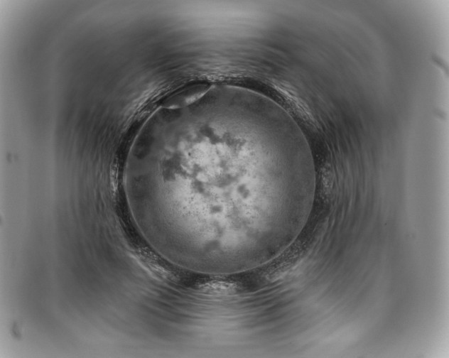 X0000096950691200802081230