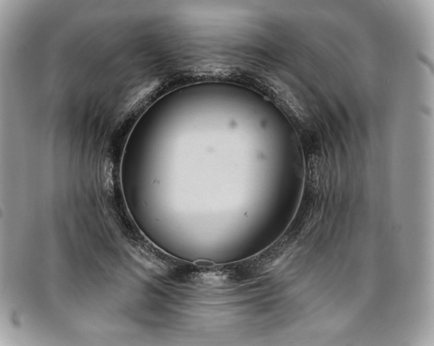 X0000096950692200802081230