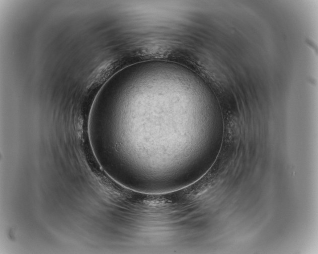 X0000096950693200802081230