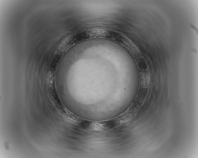 X0000096950701200802081229