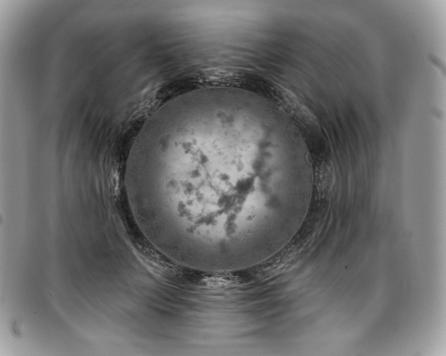 X0000096950703200802081229