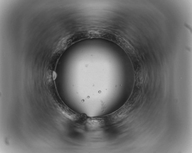 X0000096950706200802081229