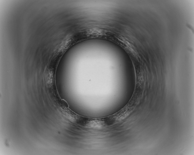 X0000096950708200802081229