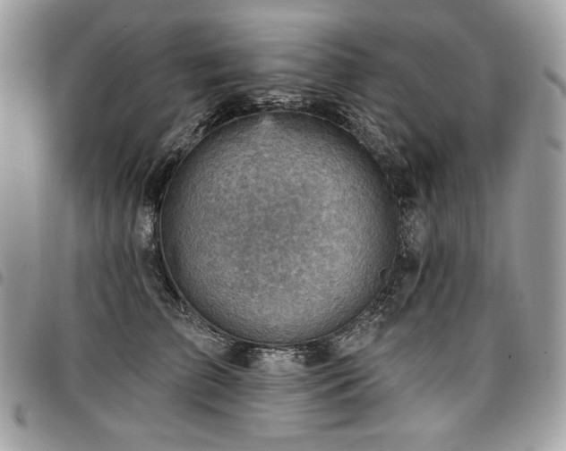 X0000096950709200802081229