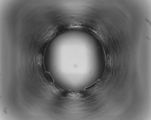 X0000096950712200802081229