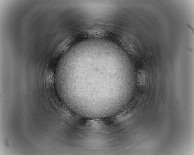 X0000096950713200802081229