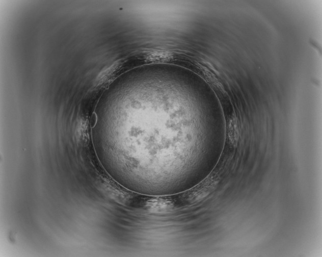 X0000096950714200802081229