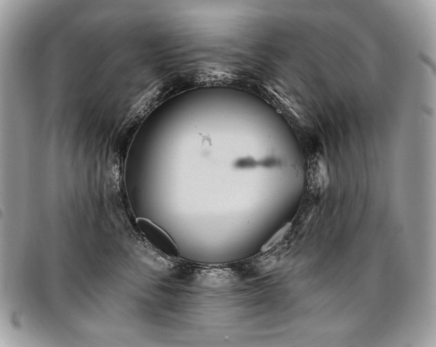 X0000096950716200802081229