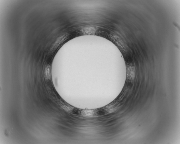 X0000096950717200802081229