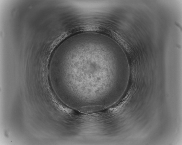 X0000096950721200802081228