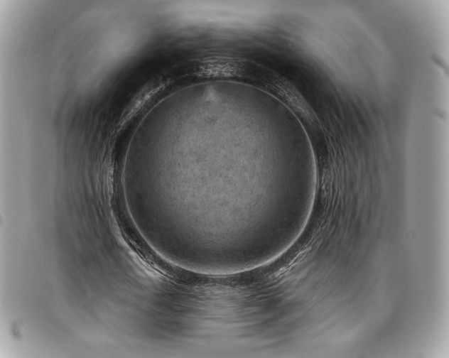 X0000096950722200802081229