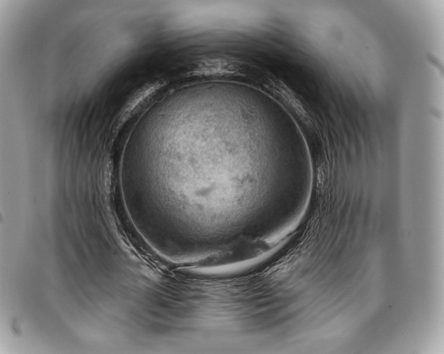 X0000096950724200802081229