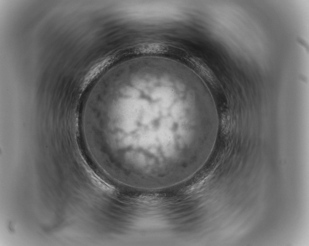 X0000096950725200802081229