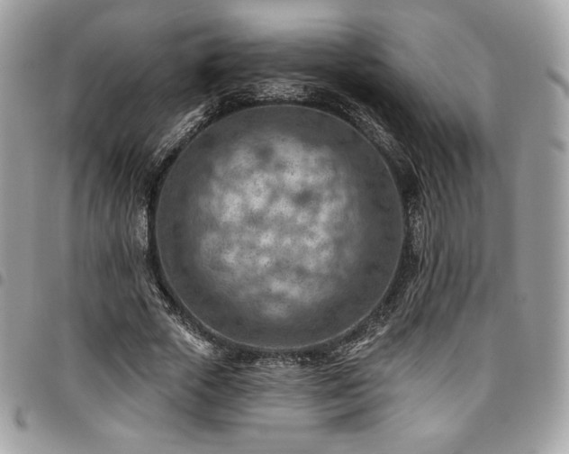 X0000096950729200802081229
