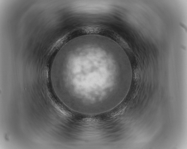 X0000096950733200802081229