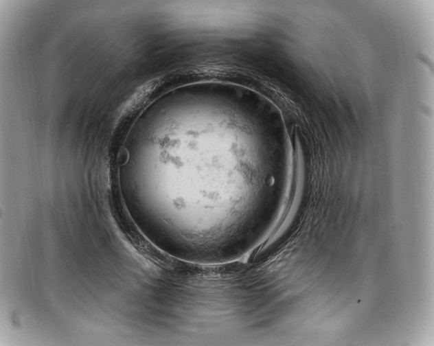 X0000096950734200802081229