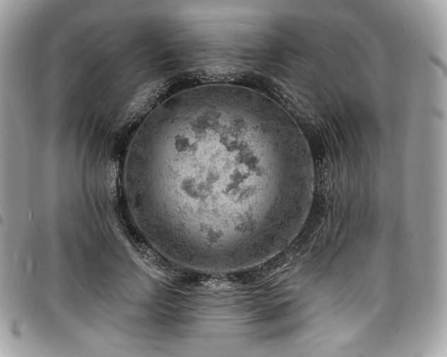 X0000096950742200802081229
