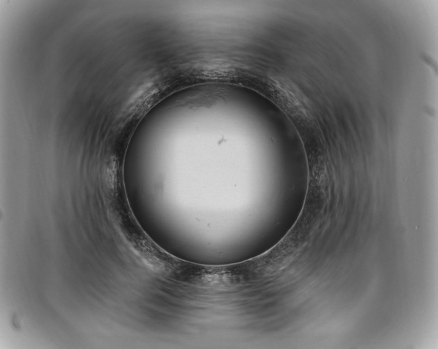 X0000096950744200802081229