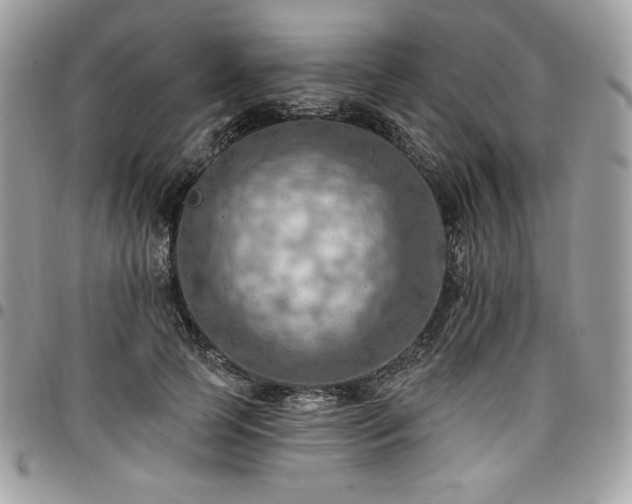 X0000096950745200802081229