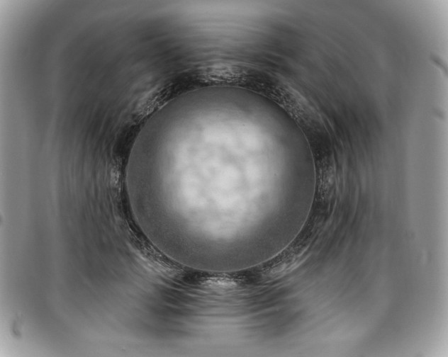 X0000096950749200802081229