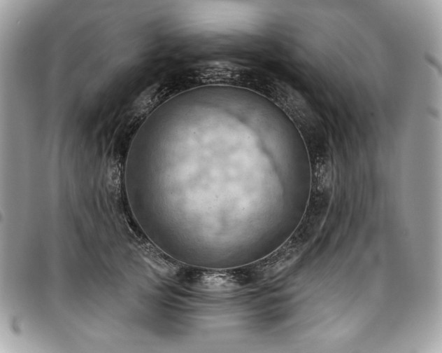 X0000096950753200802081229