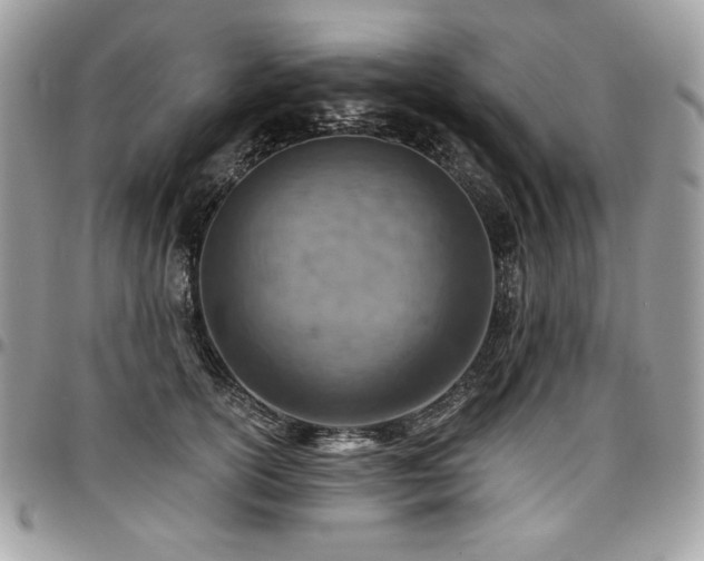 X0000096950754200802081229