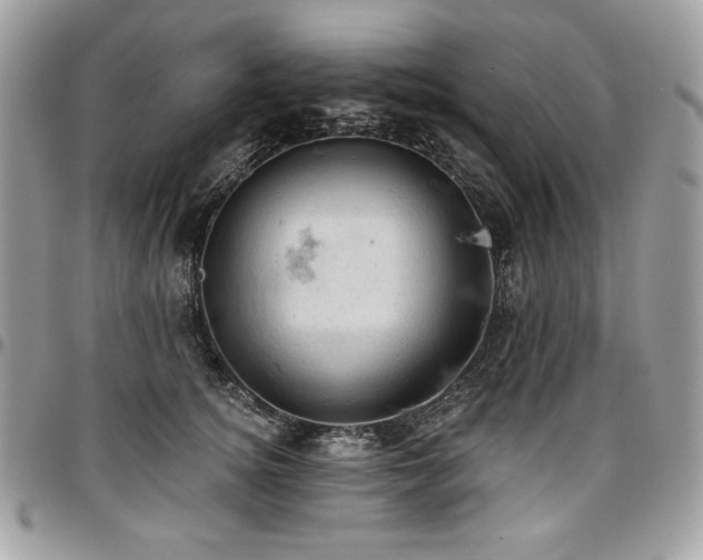 X0000096950756200802081229