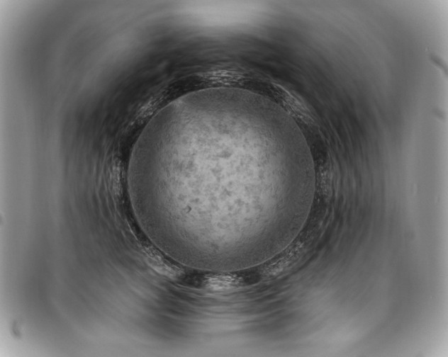 X0000096950757200802081229