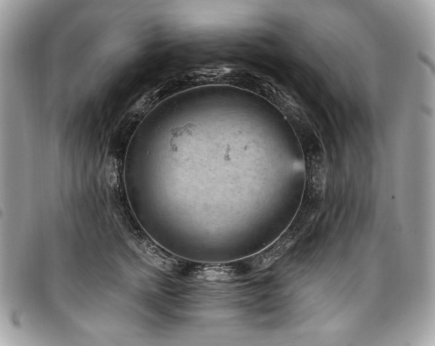 X0000096950758200802081229