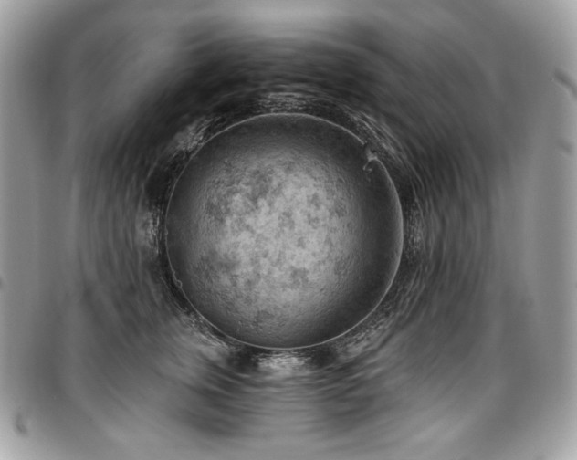 X0000096950759200802081229