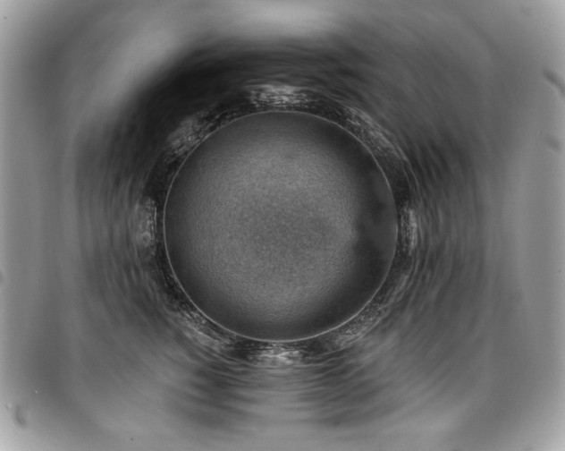 X0000096950760200802081229