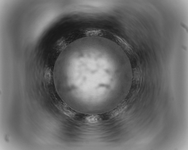 X0000096950761200802081229