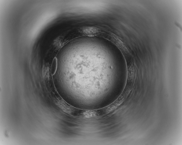 X0000096950762200802081229