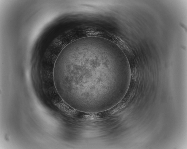 X0000096950763200802081229