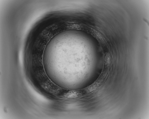 X0000096950764200802081229