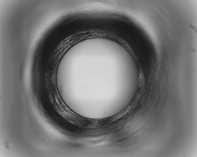 X0000096950765200802081229