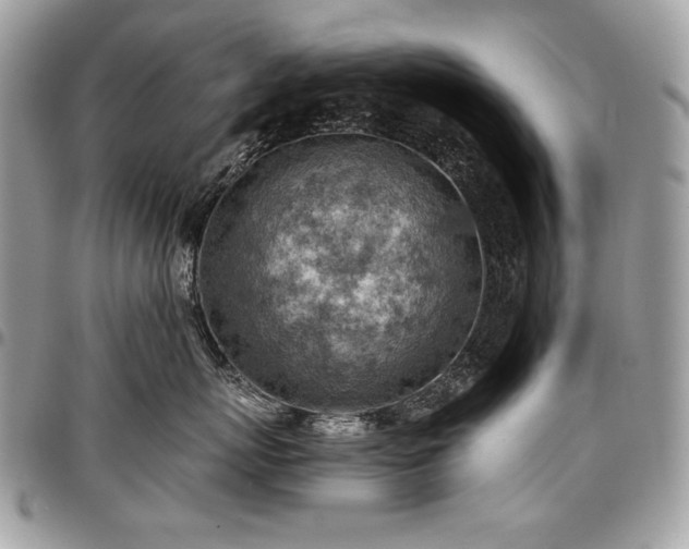 X0000096950767200802081229