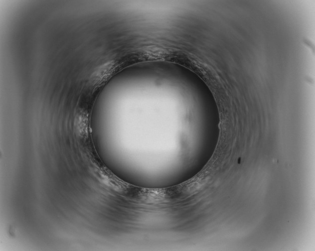 X0000096950768200802081229