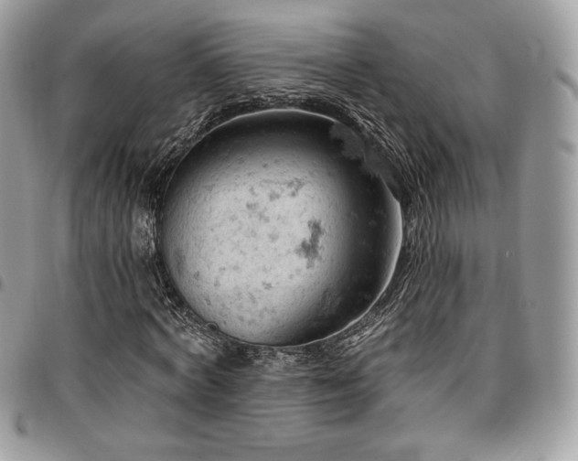 X0000096950772200802081228