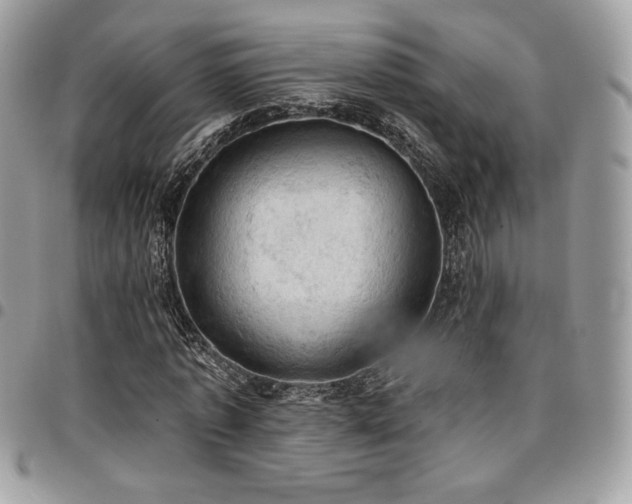 X0000096950773200802081228