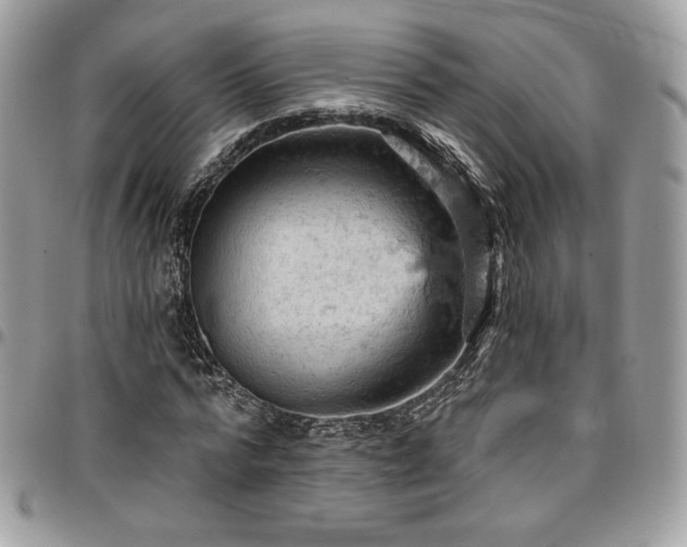 X0000096950776200802081228