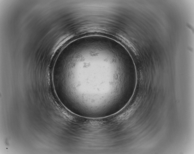 X0000096950782200802081228