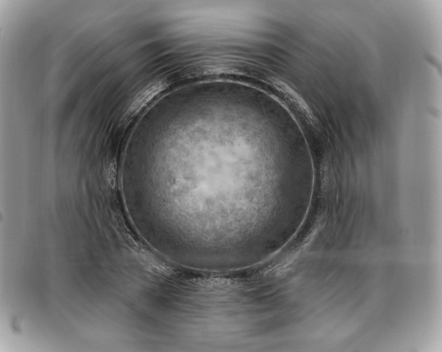 X0000096950785200802081228