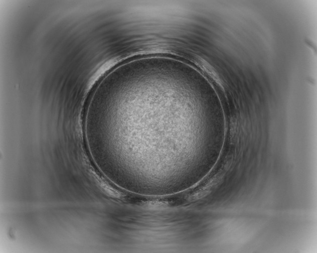 X0000096950789200802081228